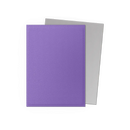 Dragon Shield: Dual Matte - Nebula & Silver