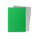 Dragon Shield: Dual Matte - Apple Green & Silver