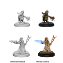 Female Gnome Wizard