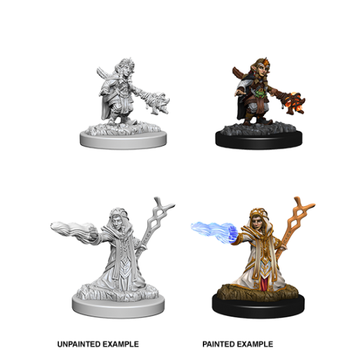 Female Gnome Wizard