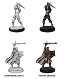 Male Human Paladin