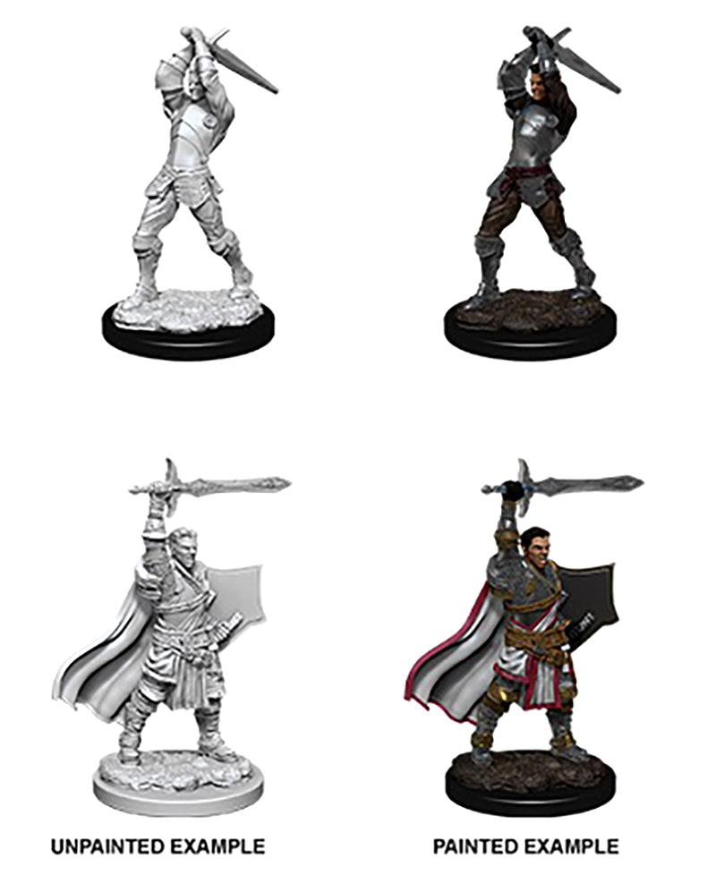 Male Human Paladin