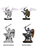 Female Aasimar Paladin