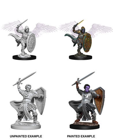 Female Aasimar Paladin