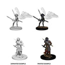 Female Aasimar Paladin