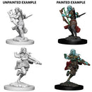 Female Air Genasi Rogue