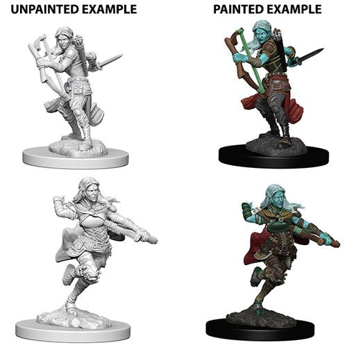 Female Air Genasi Rogue