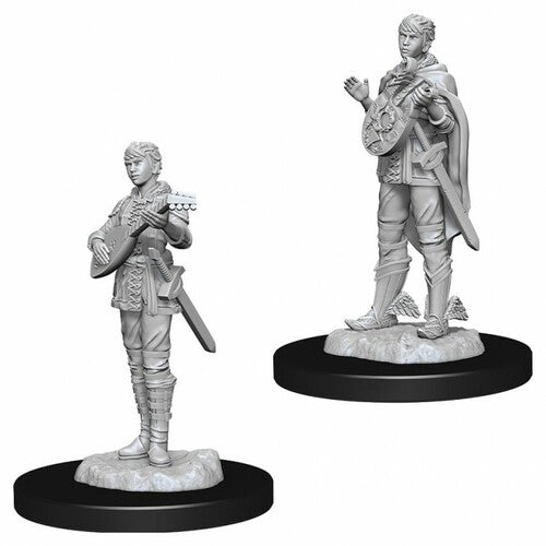 Male Half-Elf Bard
