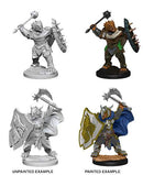 Male Dragonborn Paladin