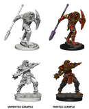 Male Dragonborn Fighter With Spear