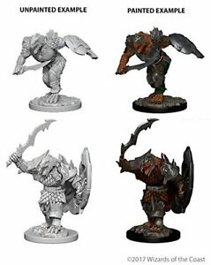 Male Dragonborn Fighter
