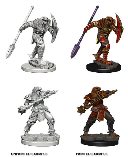 Male Dragonborn Fighter With Spear