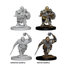 Female Dwarf Fighter