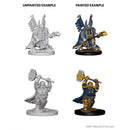 Male Dwarf Paladin