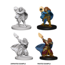 Female Dwarf Wizard