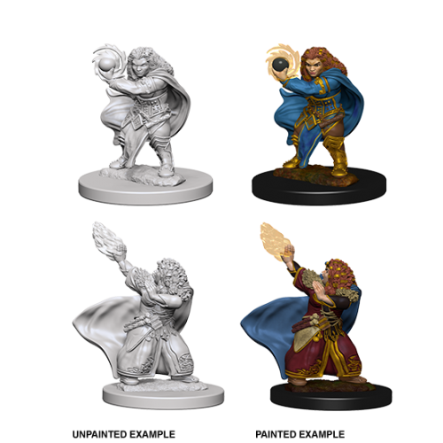 Female Dwarf Wizard