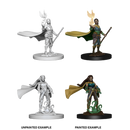 Female Elf Druid