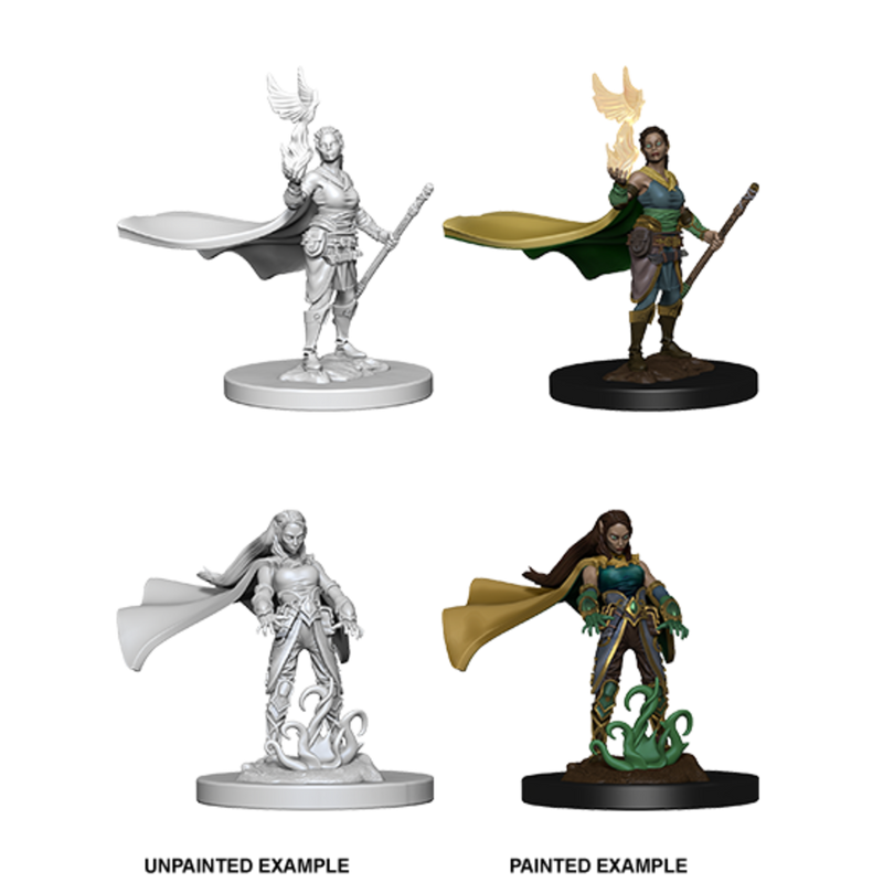 Female Elf Druid