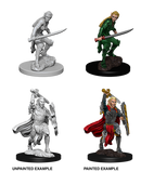 Female Elf Fighter