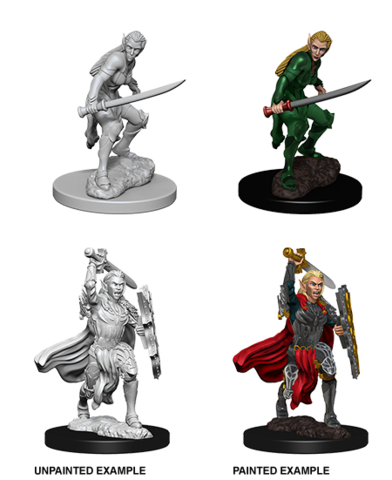 Female Elf Fighter