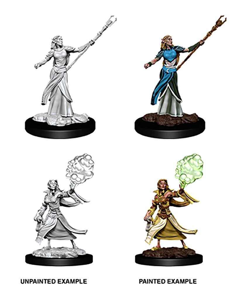Female Elf Sorcerer