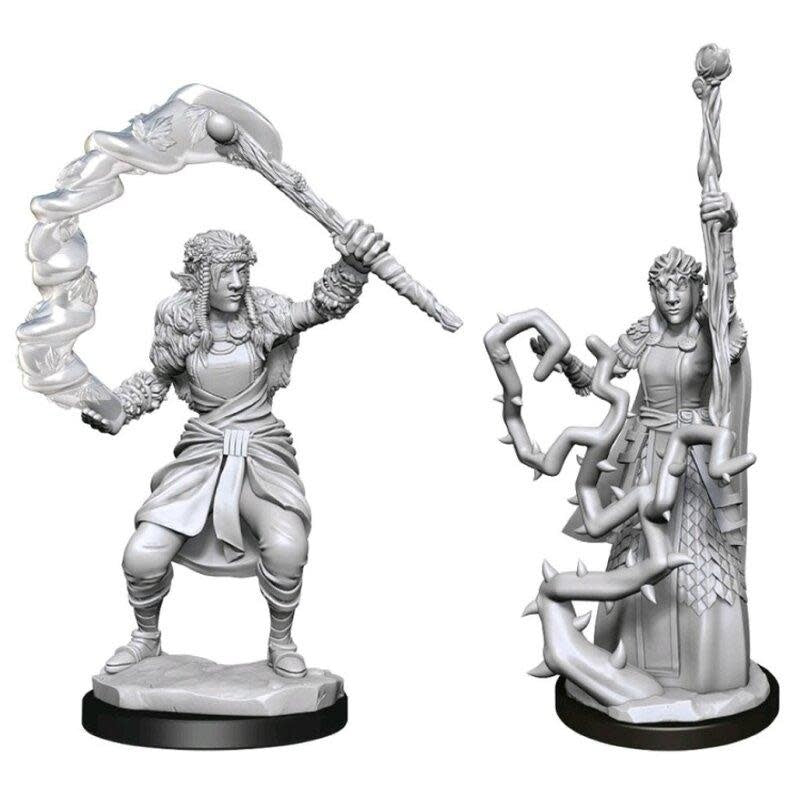 Female Firbolg Druid