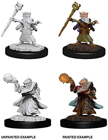 Male Gnome Wizard