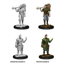 Male Half-Elf Bard