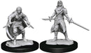 Female Half Elf Rogue