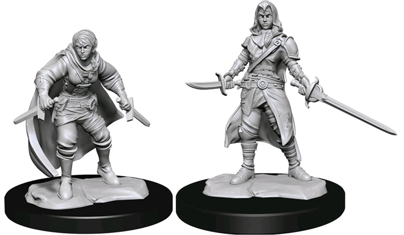 Female Half Elf Rogue