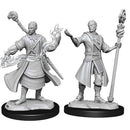 Male Half-Elf Wizard