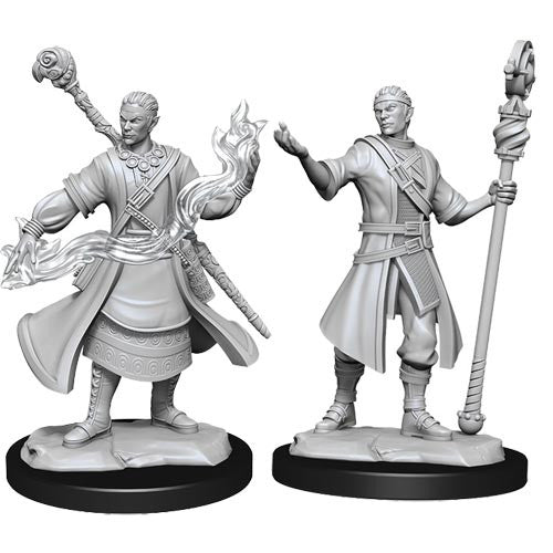 Male Half-Elf Wizard