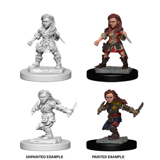 Halfling Rogue