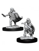 Male Halfling Rogue