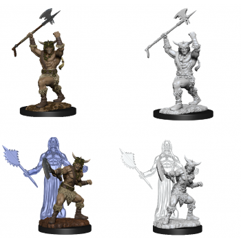 Male Human Barbarian