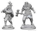 Male Human Barbarian