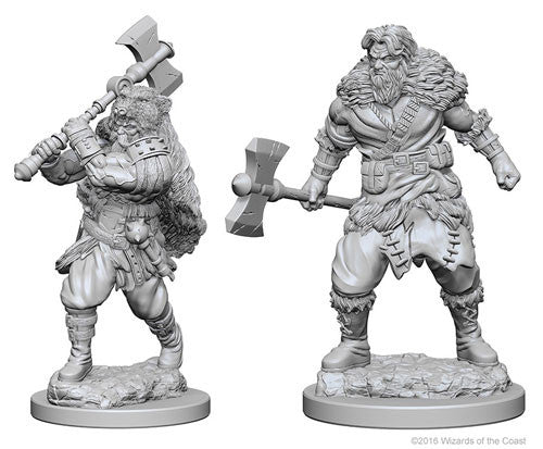 Male Human Barbarian
