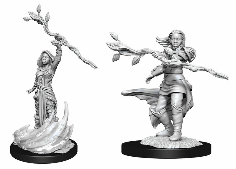 Female Human Druid