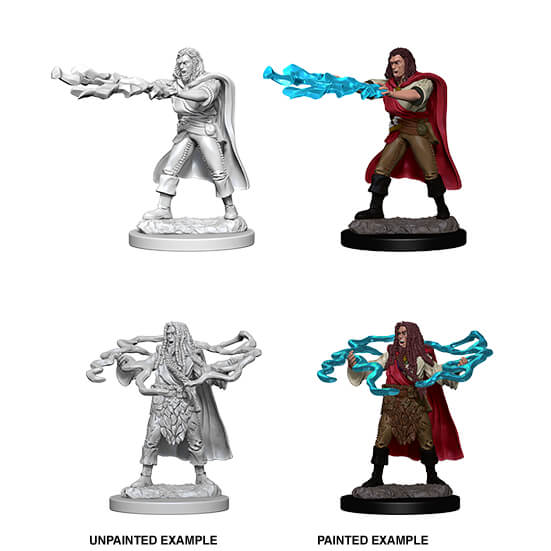 Male Human Sorcerer