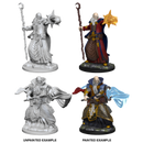 Male Human Wizard