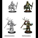 Lizardfolk & Lizardfolk Shaman