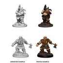 Male Dwarf Barbarian