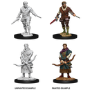 Male Human Rogue