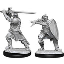 Male Human Paladin