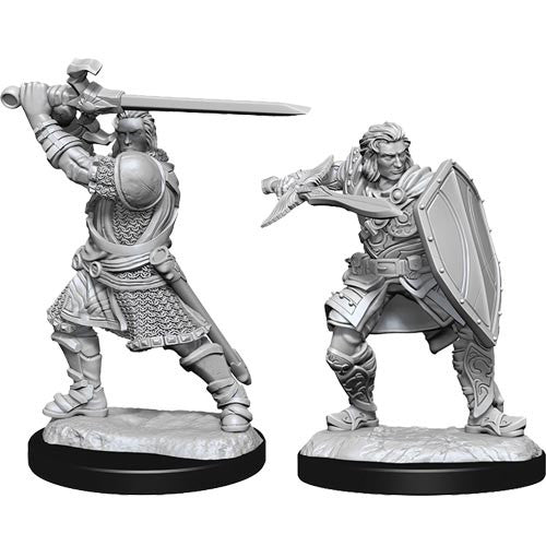Male Human Paladin
