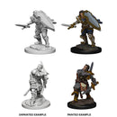 Male Human Paladin