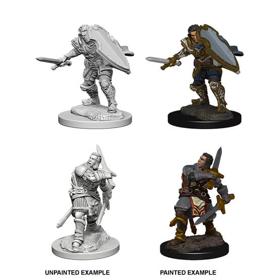 Male Human Paladin