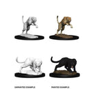 Panther & Leopard