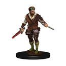 Human Rogue