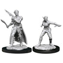 Shifter Rogue